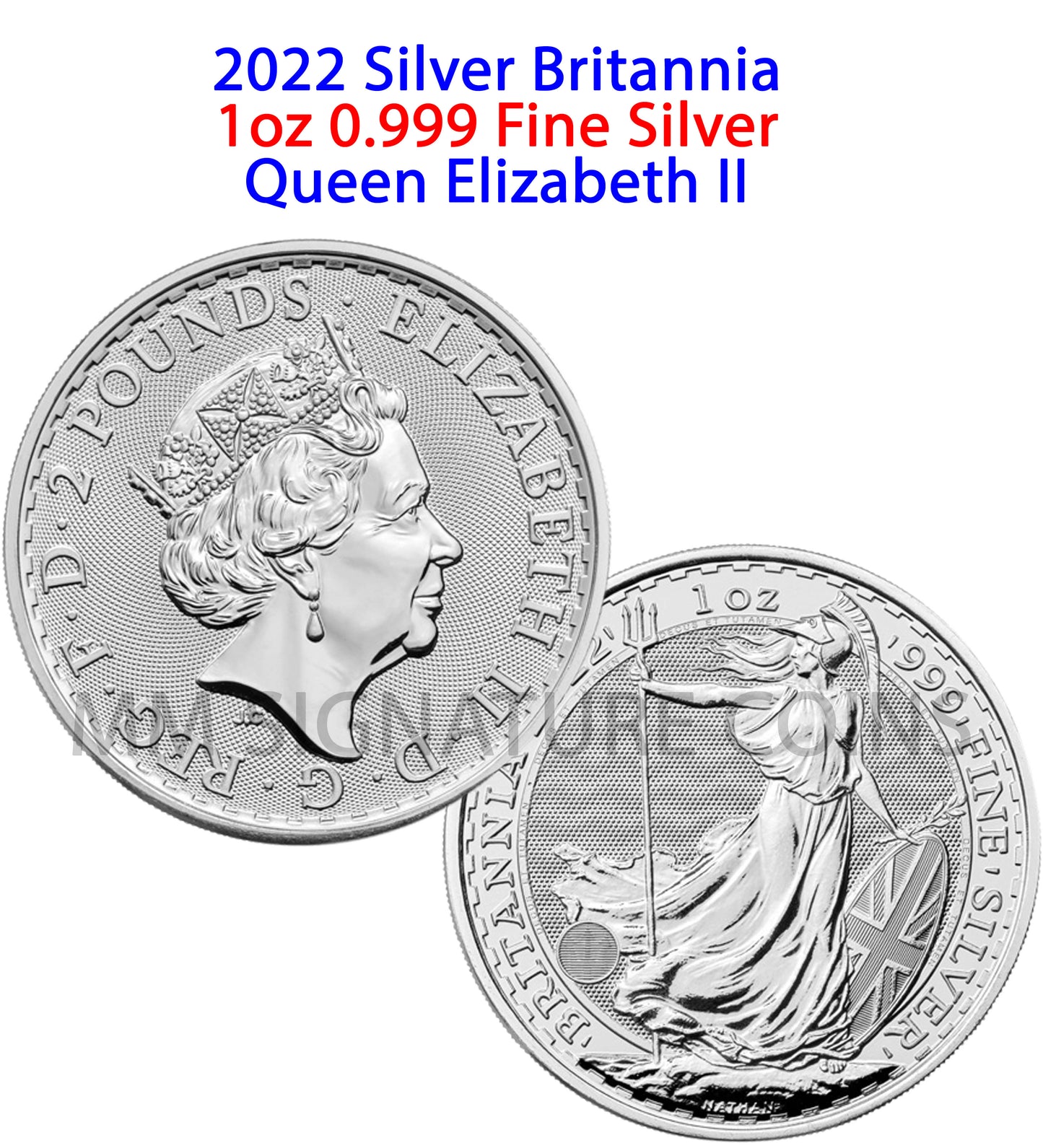 2022 Silver Britannia 1oz Coin Featuring Queen Elizabeth II